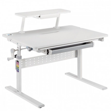 Children ergonimic desk Ergo Office ER-483