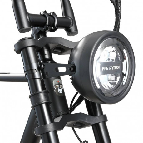 Elektrijalgratas APE RYDER 20 A10 must