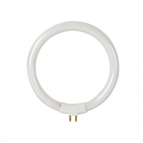 Lamp Circular Fluorescent tube 12W/T4 for VTLAMP8