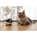 Enabot ROLA Mini Companion Robot | Enabot