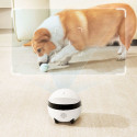 Enabot ROLA Mini Companion Robot | Enabot