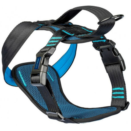 Carsafe koera rakmed Travel M, sinine