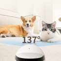 Enabot ROLA Mini Companion Robot