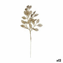 Filiaal Kuldne Plastmass 31 x 68 x 2 cm (12 Ühikut)