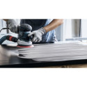 Bosch EXPERT Multihole Backing Pad 150mm, medium, M8+5/16