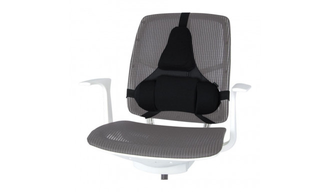 Fellowes Ergonomics professional back support pillow