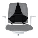 Fellowes Ergonomics professionaalne seljatugi padi