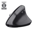 Trust Bayo+ hiir Office paremakäeline RF juhtmevaba + Bluetooth optiline 2400 DPI