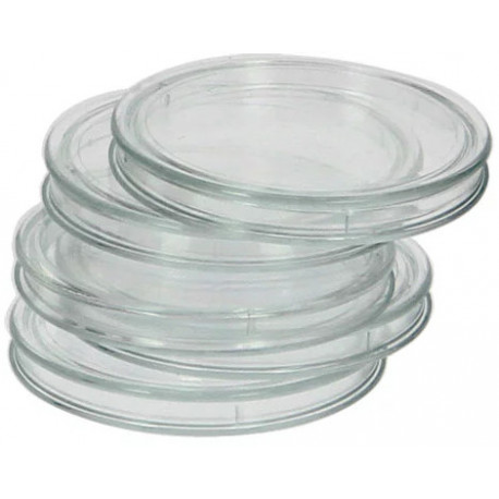 Safe coin capsule XL 29.5mm 25pcs