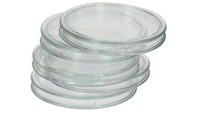 Safe coin capsule XL 29.5mm 25pcs