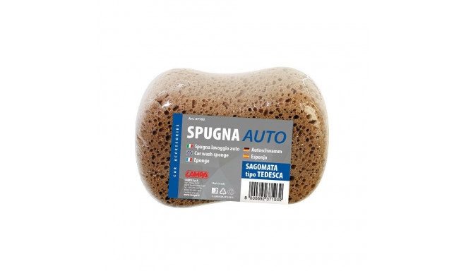 Pesusvamm 17*11*6,5cm,