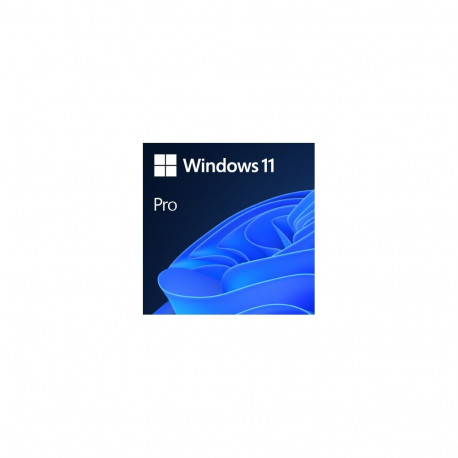 Win 11 Pro 64Bit Eng Intl 1pk DSP OEI DVD