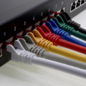 Premiumcord Patch cable CAT6a S-FTP, RJ45-RJ45, AWG 26/7 1m color grey