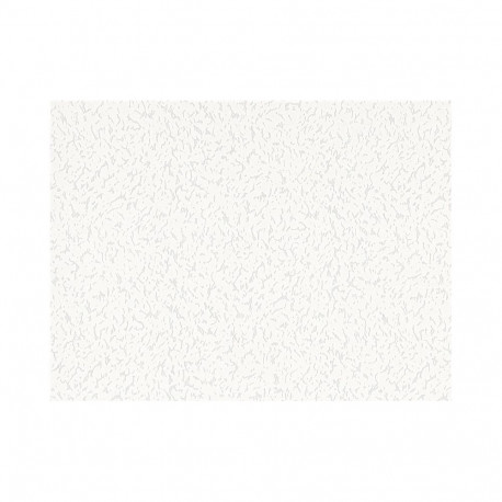 PAINTABLE WALLPAPER 2556-01 B91
