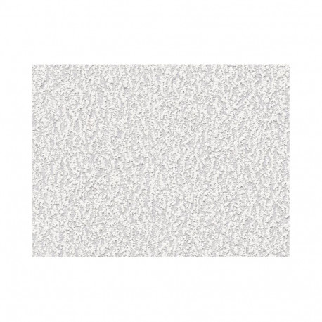 PAINTABLE WALLPAPER 2542-01 B98