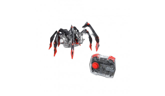 TOY INTERACTIVE BLACK WINDOW 6071524