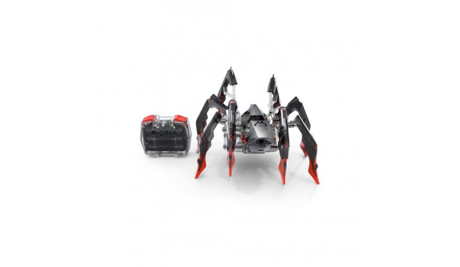 TOY INTERACTIVE BLACK WINDOW 6071524