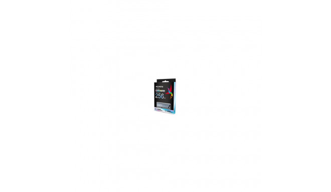 ADATA UE800 USB mälupulk 256 GB USB Type-C 3.2 Gen 2 (3.1 Gen 2) hõbedane