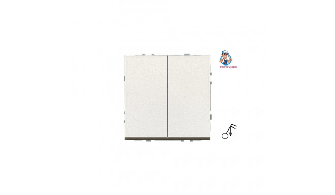 SWITCH IMP IIJ5.10-203-01.M/CH 2G moodne