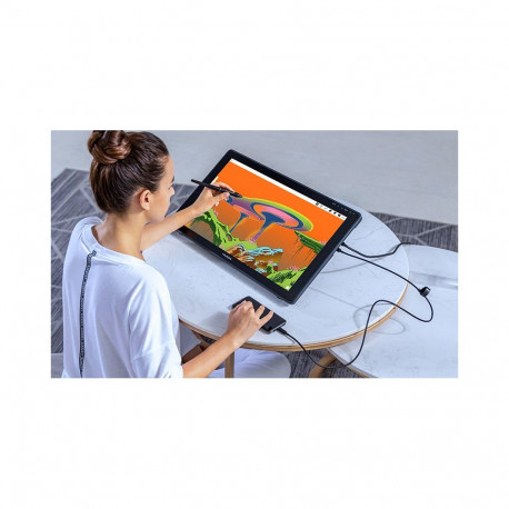 Graphics Tablet - Huion Kamvas 22 21.5" FHD 8192 Levels Pen Sensitivity