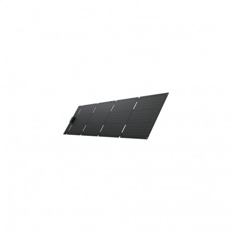 EcoFlow EFSOLAR60-TYPE-C solar panel 60 W Monocrystalline silicon