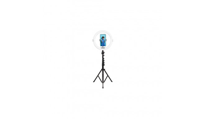 AgfaPhoto ARL11XL vlogger kit