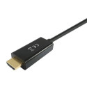 Equip DisplayPort to HDMI Adapter Cable, 3 m