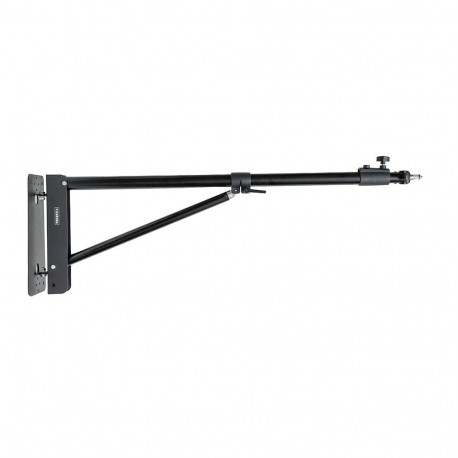 Caruba Muur Boom 175cm