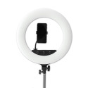 Caruba RGB Round Vlogger 18 inch LED Set met Tas Wit