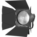 Godox Fresnel barndoor for 10 inch lens
