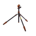 3 Legged Thing Punks Travis 2.0 with Airhed Neo 2.0 Black