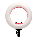 Caruba Round Vlogger 12 inch LED Set met Tas Roze (MENZ)