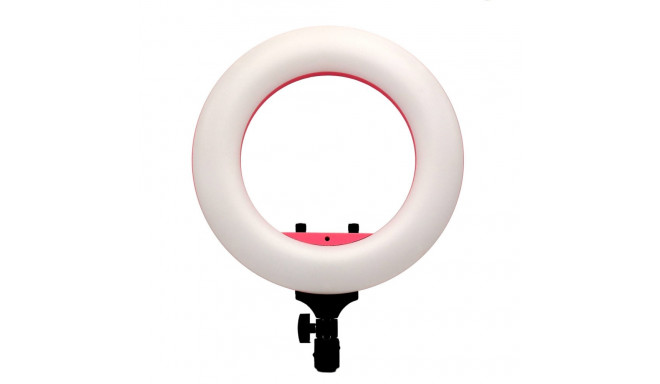 Caruba Round Vlogger 12 inch LED Set met Tas Roze (MENZ)