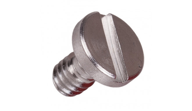 Caruba screw 1/4"