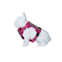 Freedog Boreal fuksiaroosad traksid koerale 25mm 45-90cm