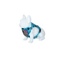 Freedog Boreal capris blue braces for dogs 20mm 38-75cm