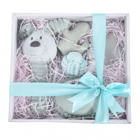 Barry King blue gift set for dog 5in1