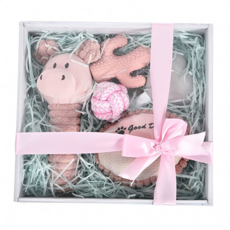 Barry King pink gift set for dog 5in1