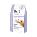 Brit Veterinary Diet Gastrointestinal special feed for dogs 2kg