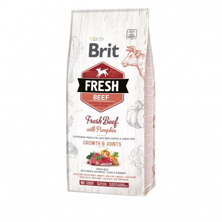 Brit Fresh Beef & Pumpkin Puppy Large Bones & Joints koeratoit 12 kg