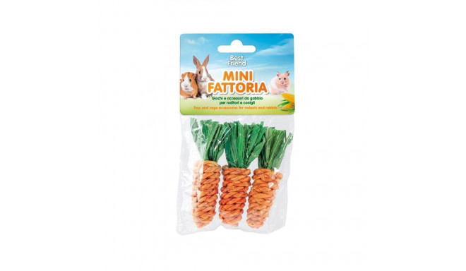 Record toy Carrot for rodents 8cm