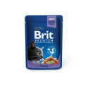 Brit Premium Cod Fish märgtoit kassidele 100g