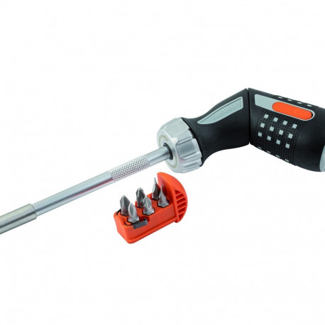 Pistol handle ratcheting screwdriver with bits PH1/2,PZ1/2,SL4,5/5,5 6 pcs