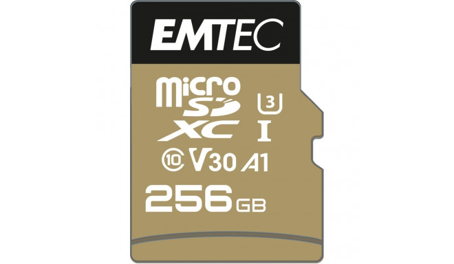 Emtec MicroSDHC 256GB UHS-I U3 V30 SpeedIN Pro