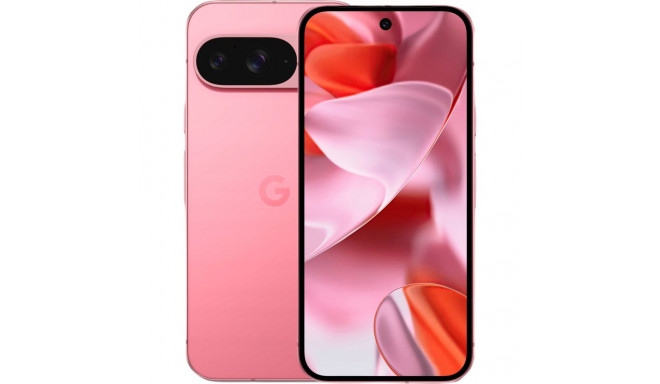 Google Pixel 9 256GB pojeng