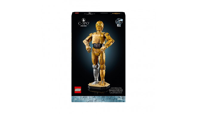 CONSTRUCTOR TBD-LSW-2024