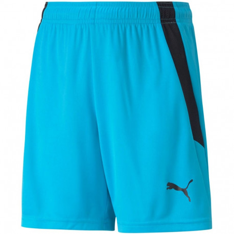 Puma laste lühikesed püksid teamLIGA Shorts Jr 704931 40 152cm, sinised