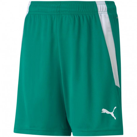 Puma laste lühikesed püksid teamLIGA Shorts Jr 704931 05 116cm, roheline