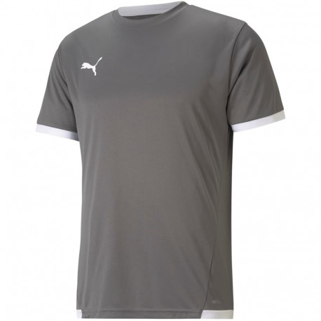 Puma meeste spordisärk teamLIGA Jersey 704917 13 M, hall