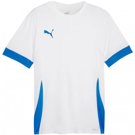 Puma meeste särk teamGoal Matchday Jersey 705747 12 L, valge-sinine